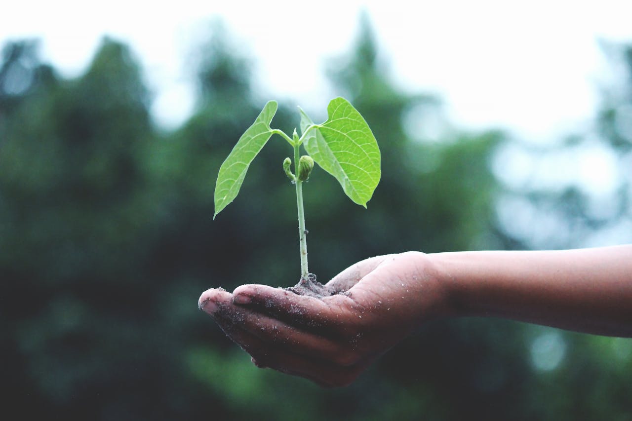 Graphic representing sustainable business practices and ISO 14001 environmental management.